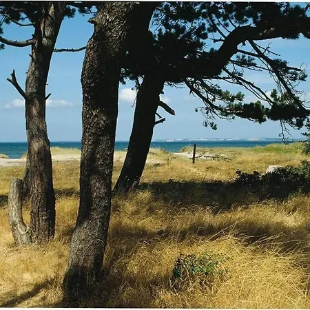 13365-asnaes-radyrvej-63 *